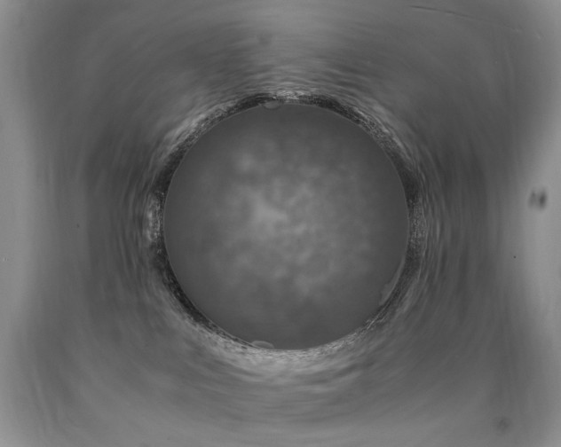 X0000090760043200707201512