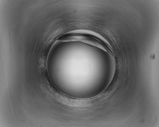 X0000090760044200707201512