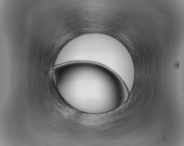 X0000090760045200707201512