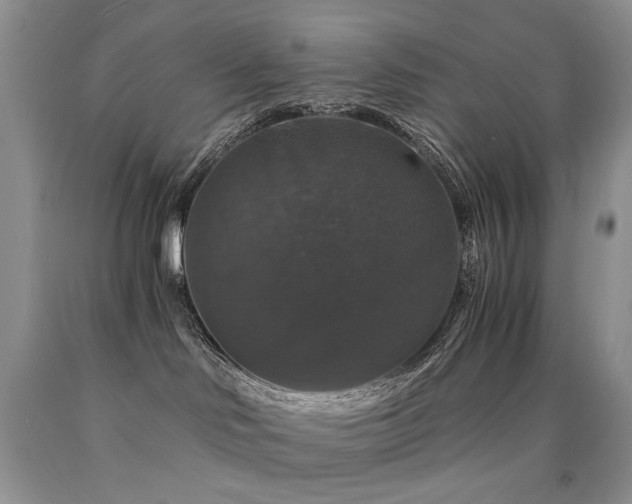 X0000090760046200707201512