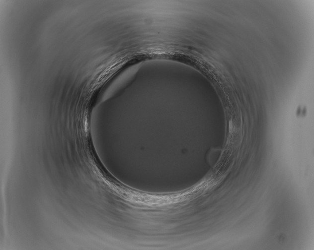 X0000090760048200707201512