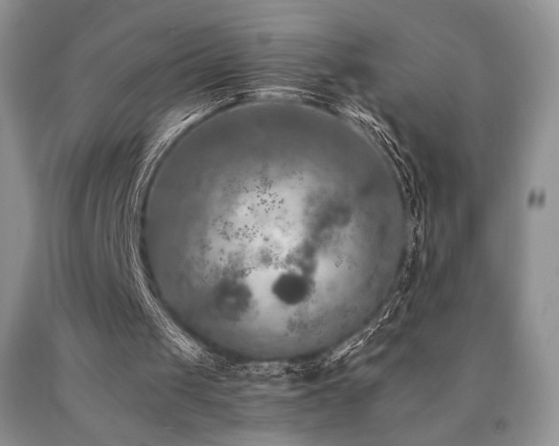 X0000090760049200707201512