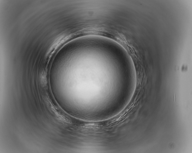 X0000090760050200707201512