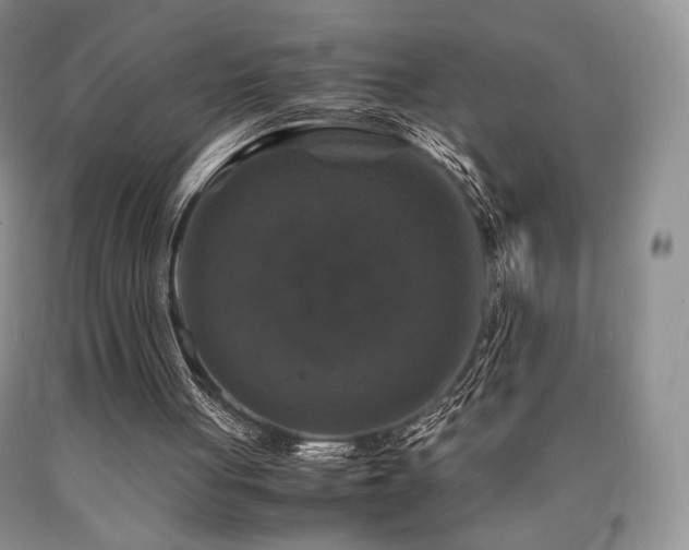 X0000090760051200707201512