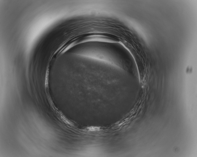 X0000090760052200707201512