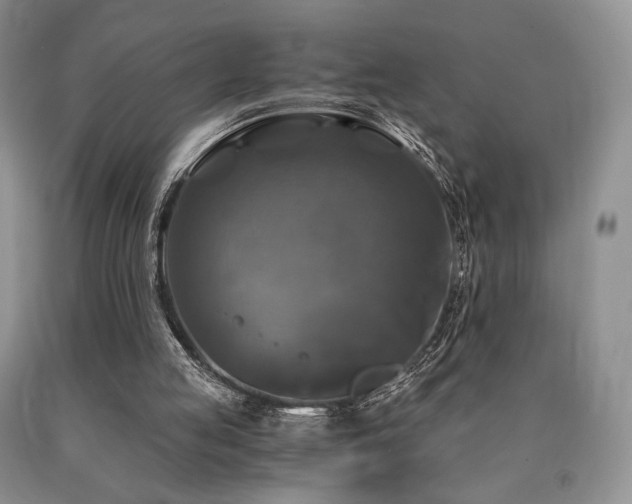 X0000090760053200707201512