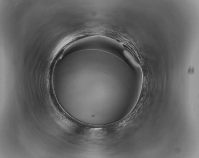 X0000090760054200707201512