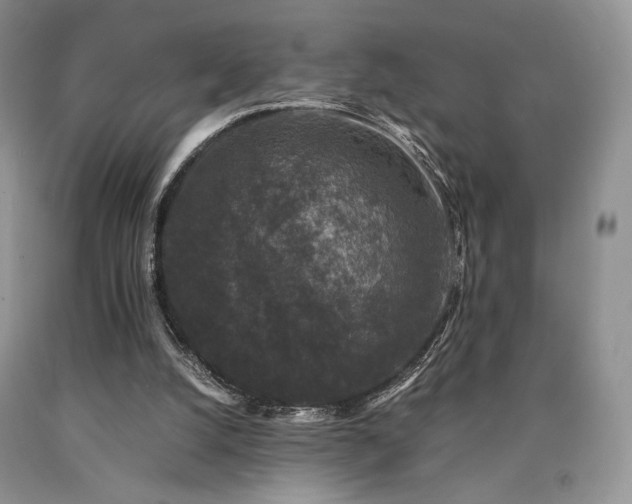 X0000090760056200707201512