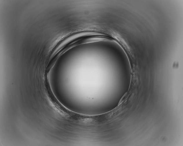 X0000090760058200707201512