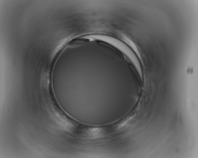 X0000090760059200707201512