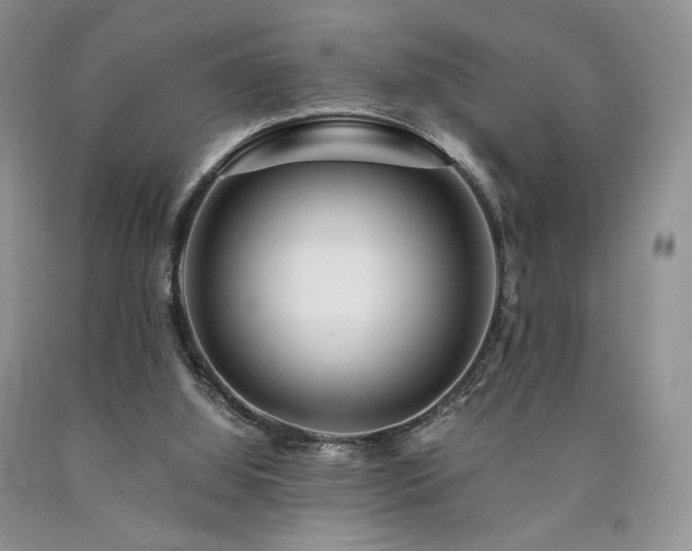 X0000090760060200707201512