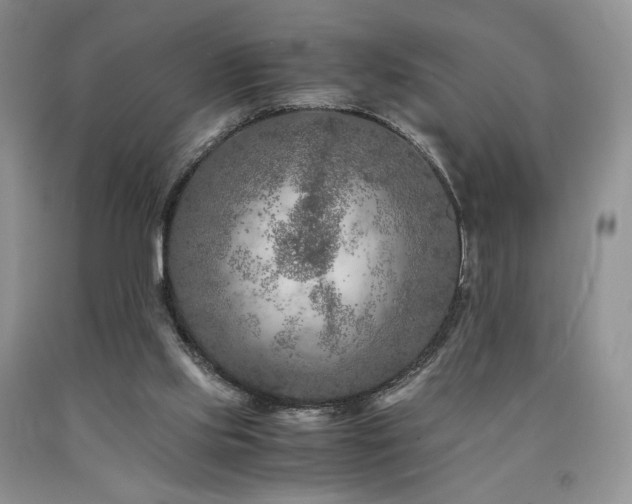 X0000090760061200707201512