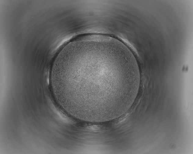 X0000090760062200707201512