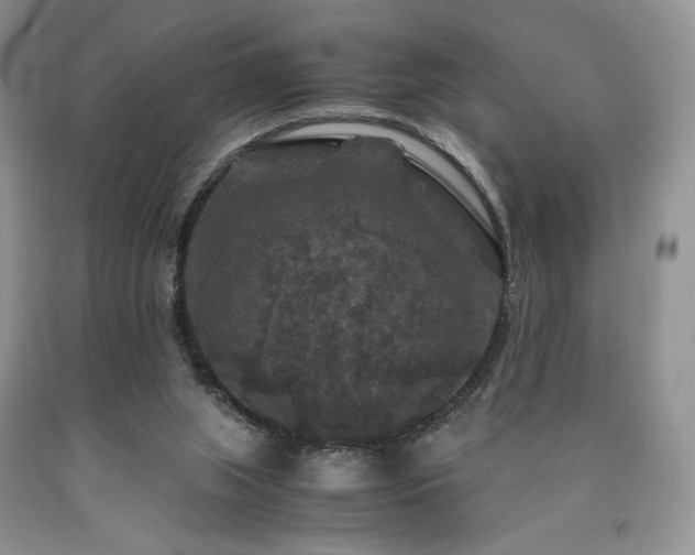 X0000090760063200707201512