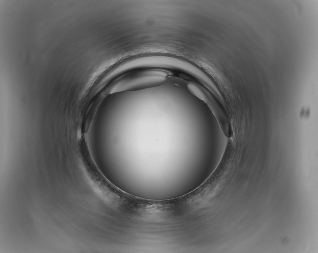 X0000090760064200707201512