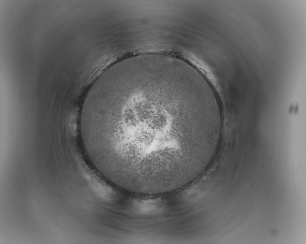 X0000090760065200707201512