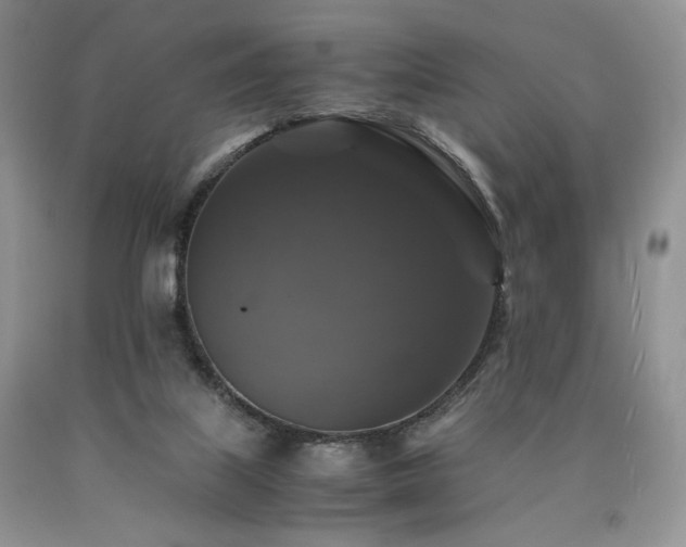 X0000090760067200707201512