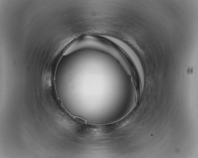 X0000090760068200707201512