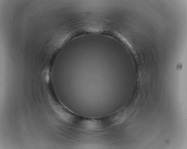 X0000090760069200707201512