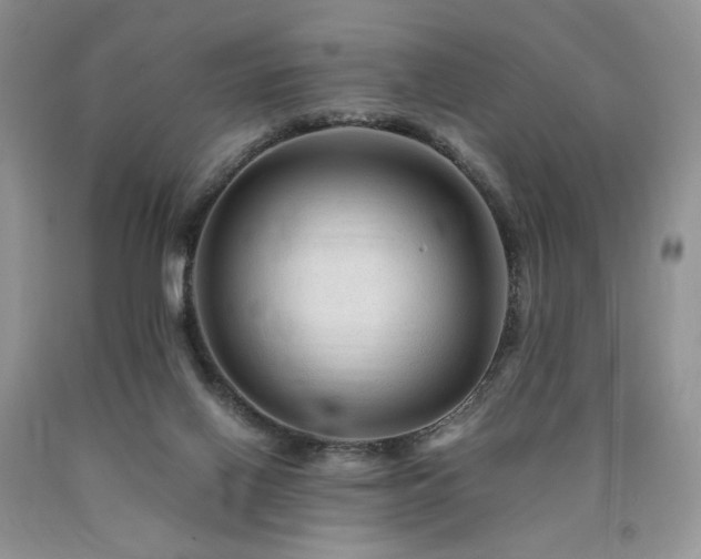 X0000090760070200707201512