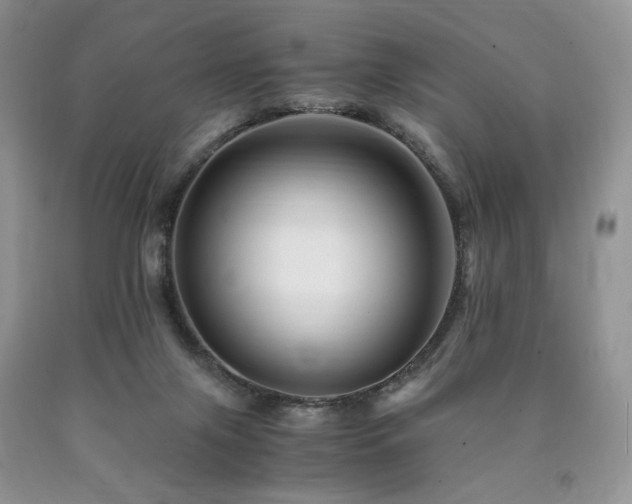 X0000090760071200707201512