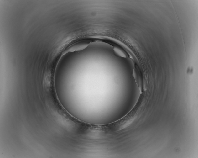 X0000090760072200707201512