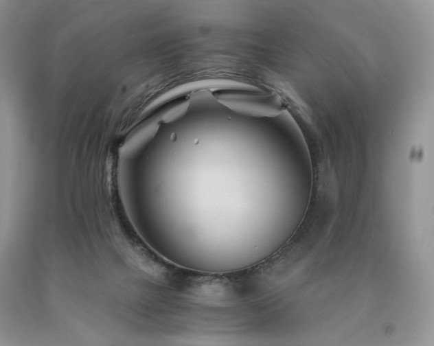 X0000090760073200707201512