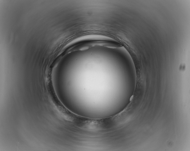 X0000090760074200707201512