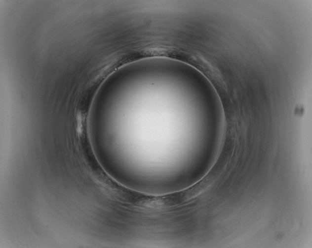 X0000090760075200707201512