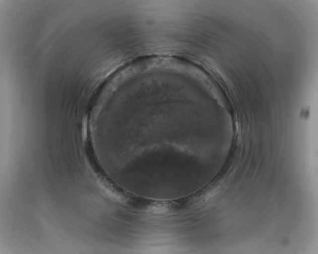 X0000090760076200707201512