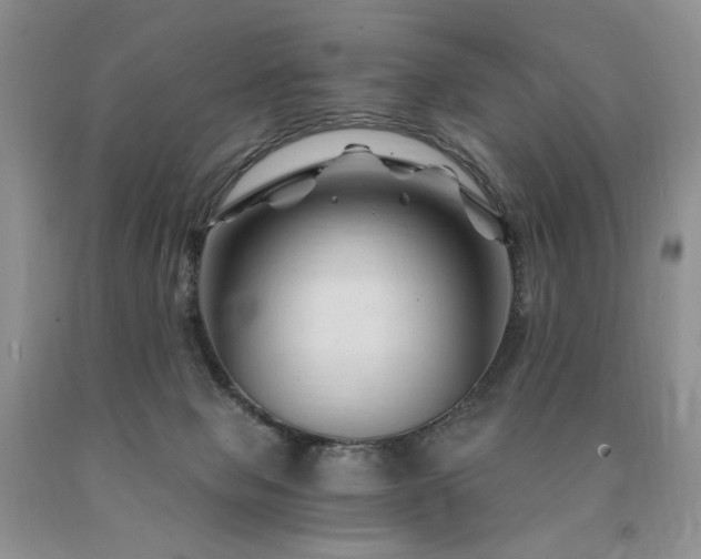 X0000090760077200707201512