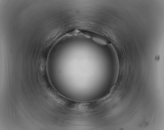 X0000090760078200707201512