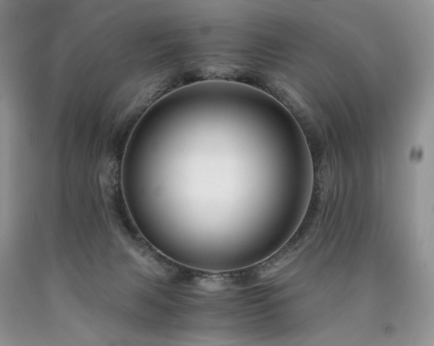 X0000090760079200707201512