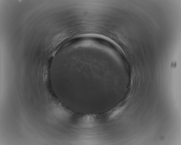 X0000090760080200707201512