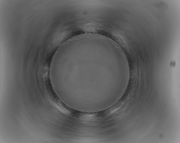 X0000090760081200707201512