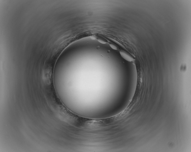 X0000090760082200707201512