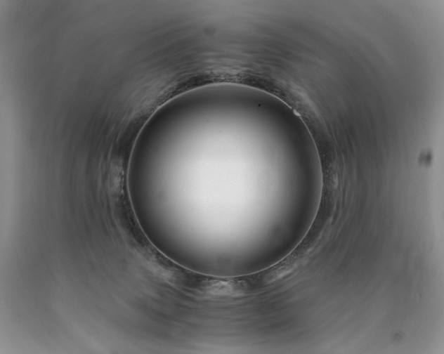 X0000090760083200707201512