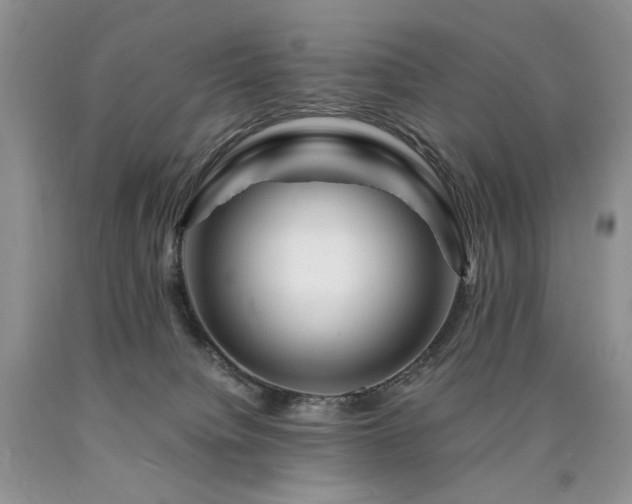 X0000090760084200707201512