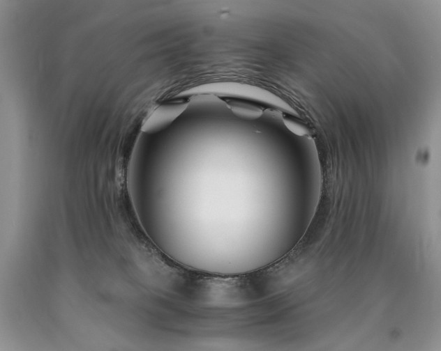 X0000090760085200707201512