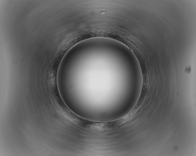 X0000090760086200707201512