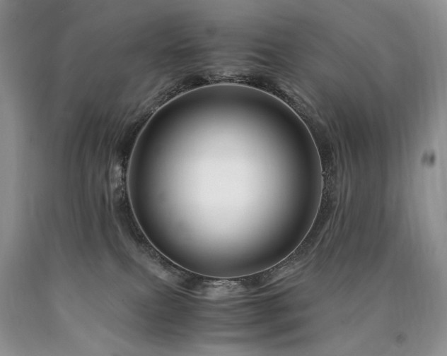 X0000090760087200707201512