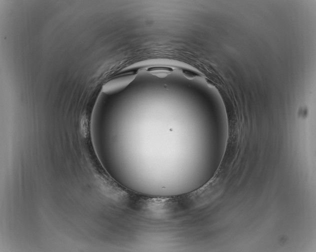 X0000090760090200707201512