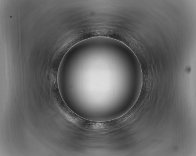 X0000090760091200707201512