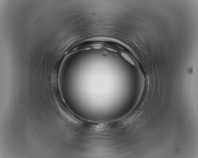 X0000090760092200707201512