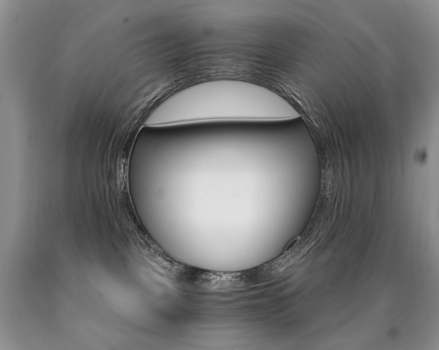 X0000090760093200707201512