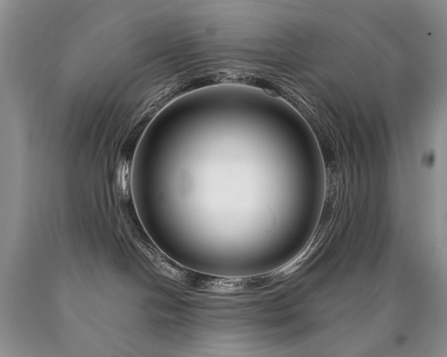 X0000090760094200707201512