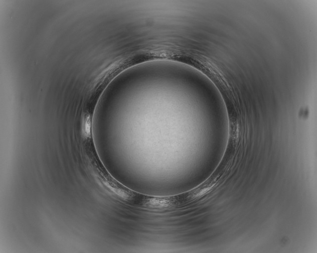 X0000090760095200707201512