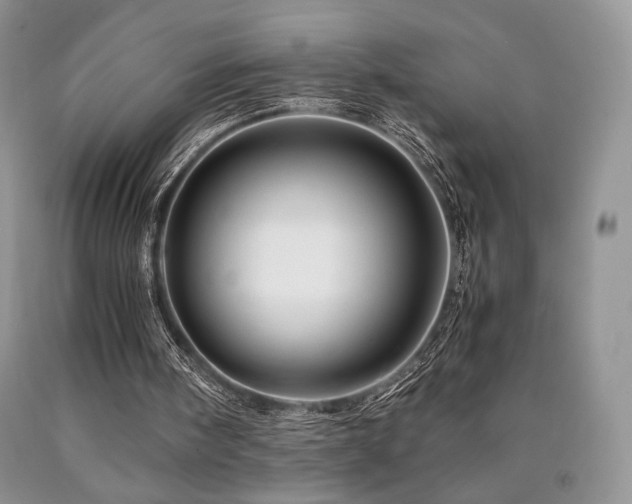 X0000090760098200707201512