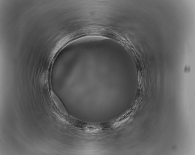 X0000090760099200707201512