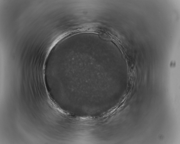 X0000090760100200707201512